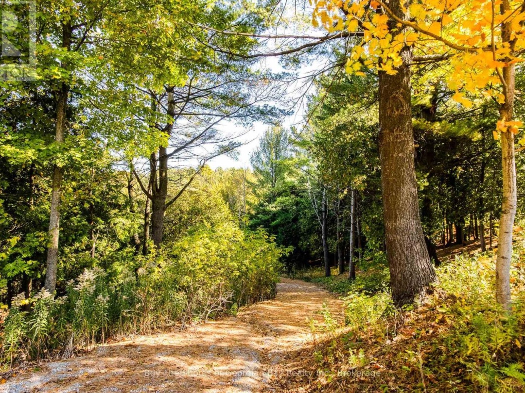 399 DAWSON'S SIDE ROAD, 