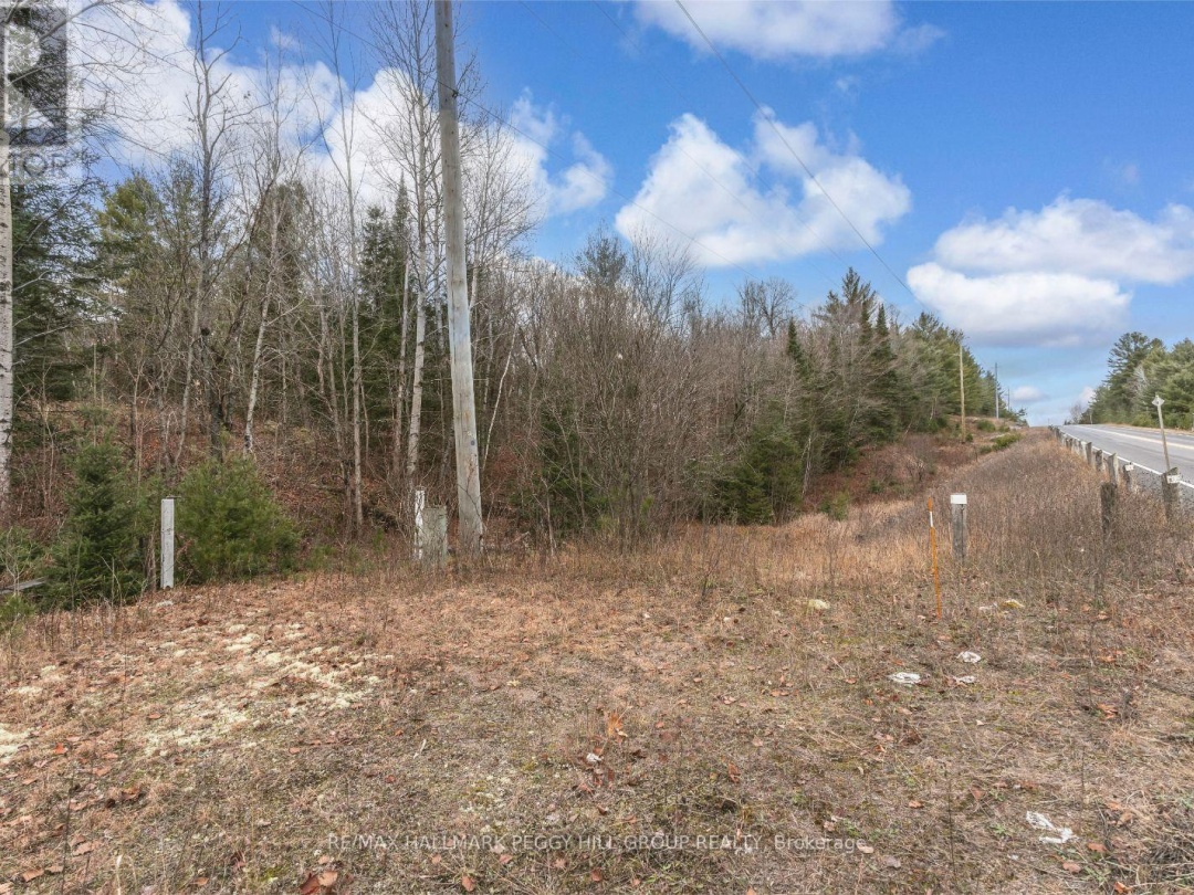 0 County Road 121, Minden Hills (Minden)