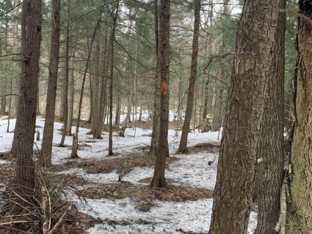 0 KASHAGAWIGAMOG LAKE ROAD, Dysart et al (Dysart)