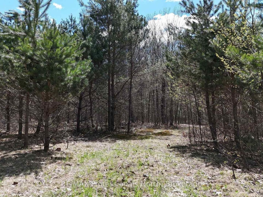 0 OSPREY ROAD, Minden Hills (Minden)
