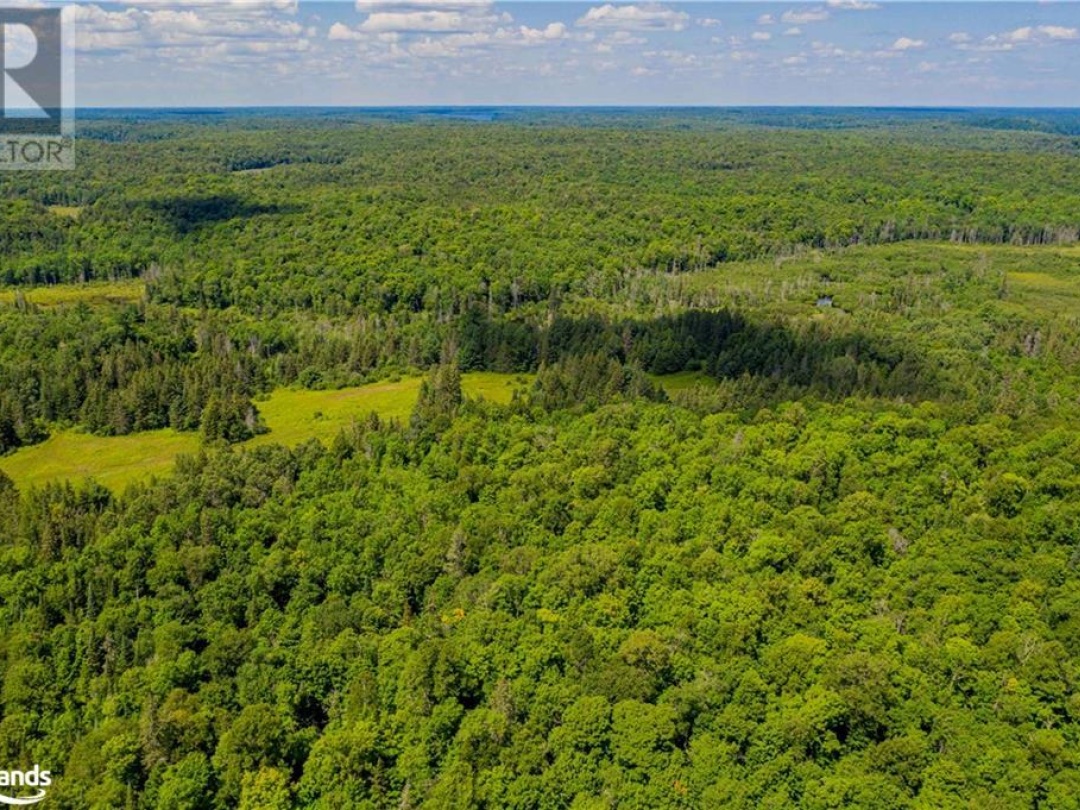 Lot 8 Nelson Lake Road, Magnetawan