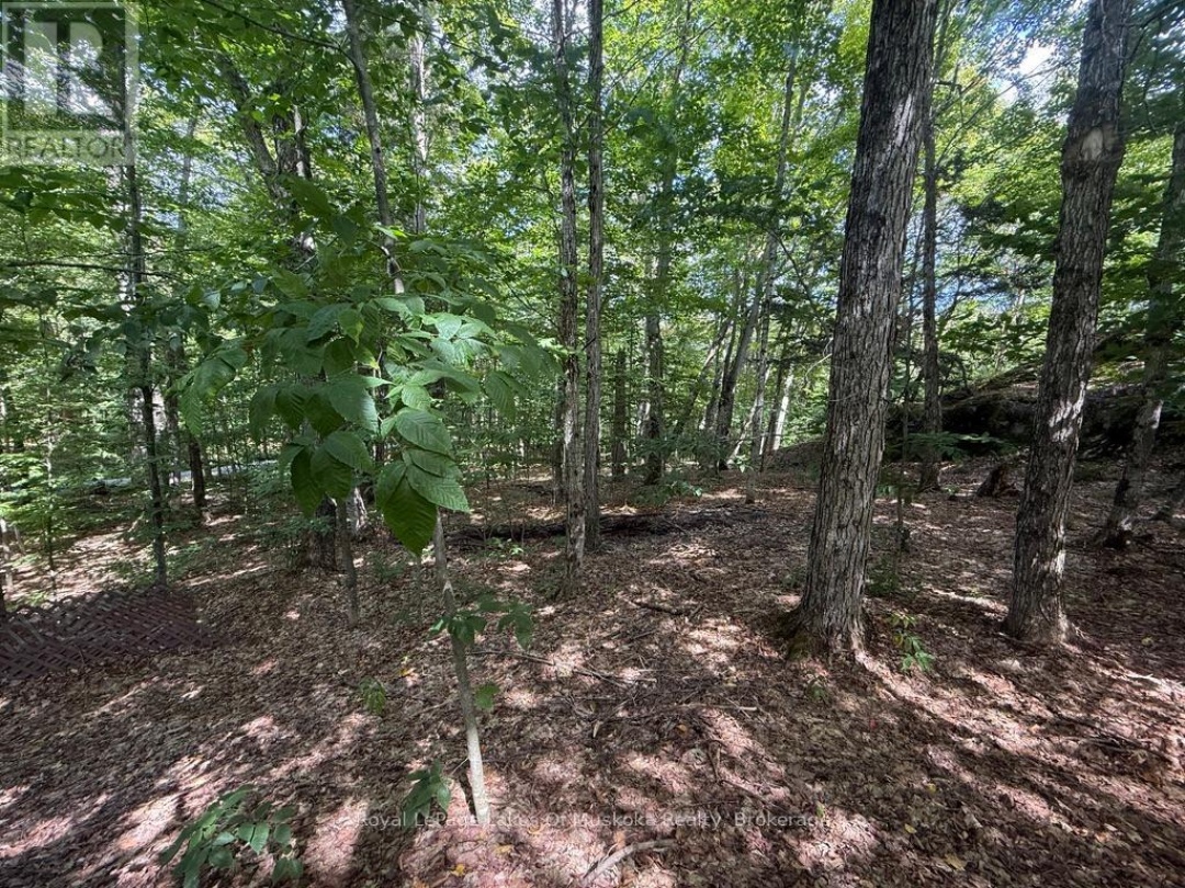 LOT 85 BRENNAN CIRCLE, Lake Vernon