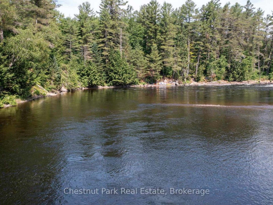1277 SHERWOOD FOREST ROAD, 