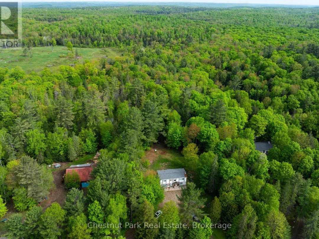 554 BRITANNIA ROAD, Huntsville (Brunel)