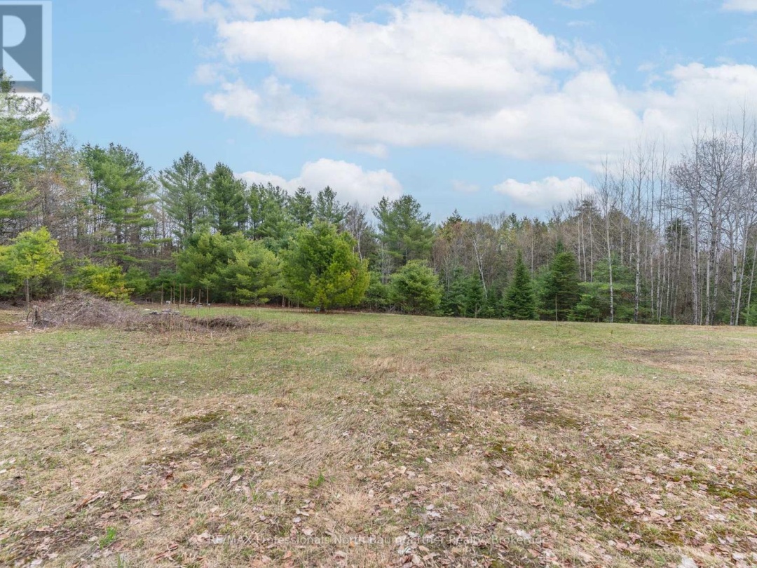 1112 TOM BOLTON ROAD, Minden Hills (Minden)