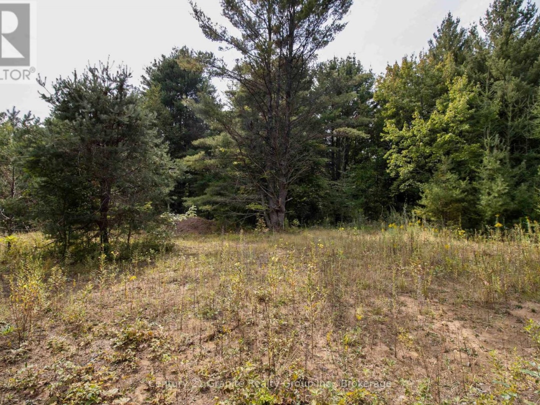 4729 COUNTY ROAD 121, Minden Hills (Lutterworth)