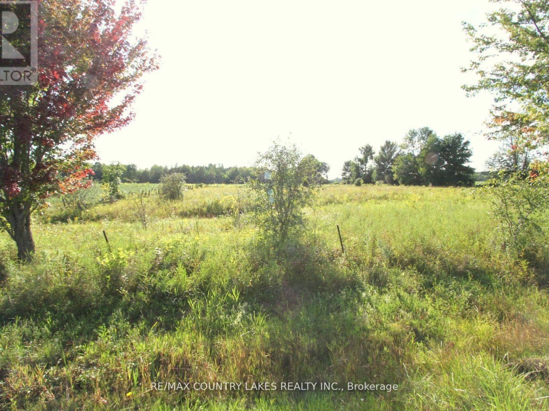 LT 22 KIRKFIELD ROAD, Kawartha Lakes (Eldon)