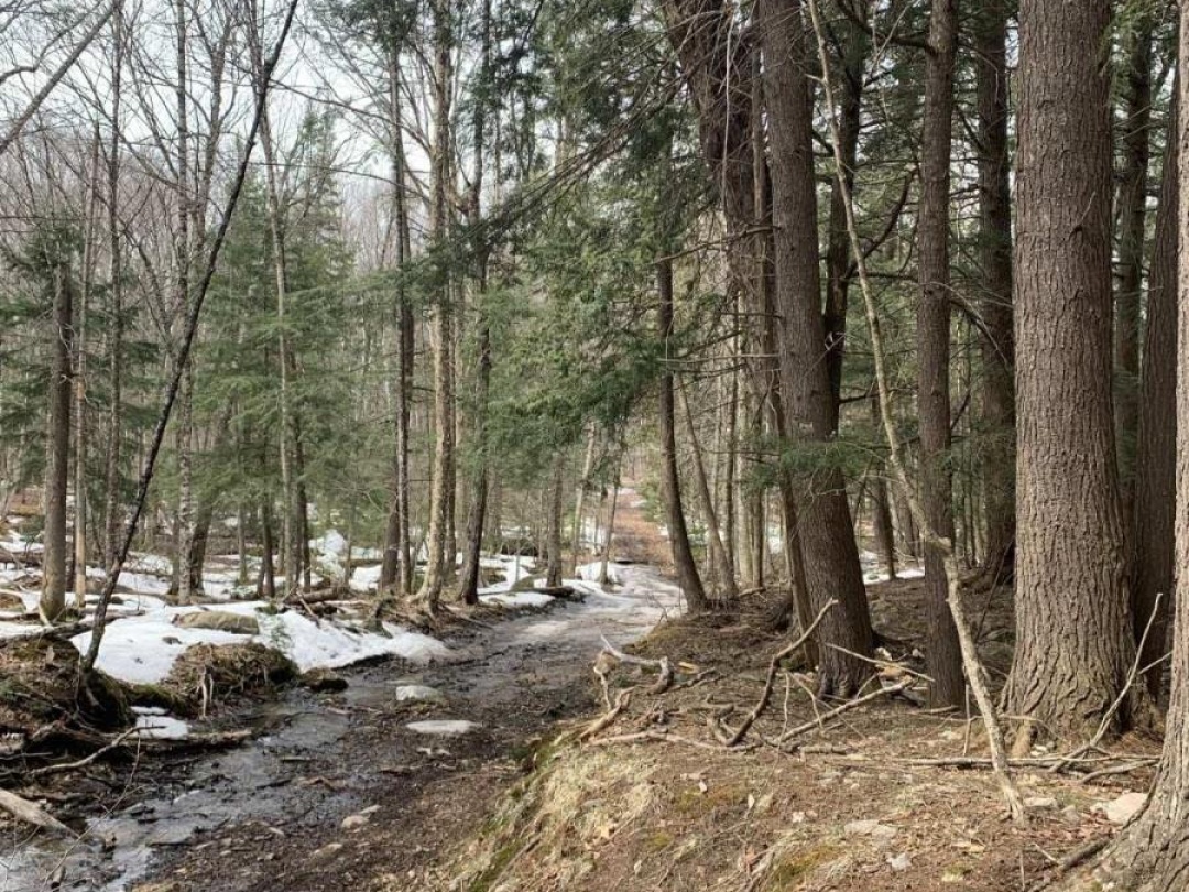 0 KASHAGAWIGAMOG LAKE ROAD, Dysart et al (Dysart)