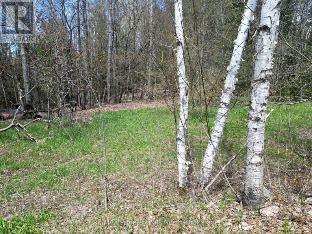 2693 COUNTY ROAD 21, Minden Hills (Minden)