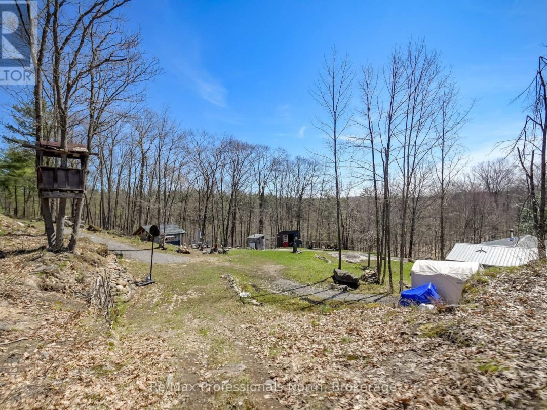 1017 BARLOCHAN ROAD, Muskoka Lakes (Wood (Muskoka Lakes))