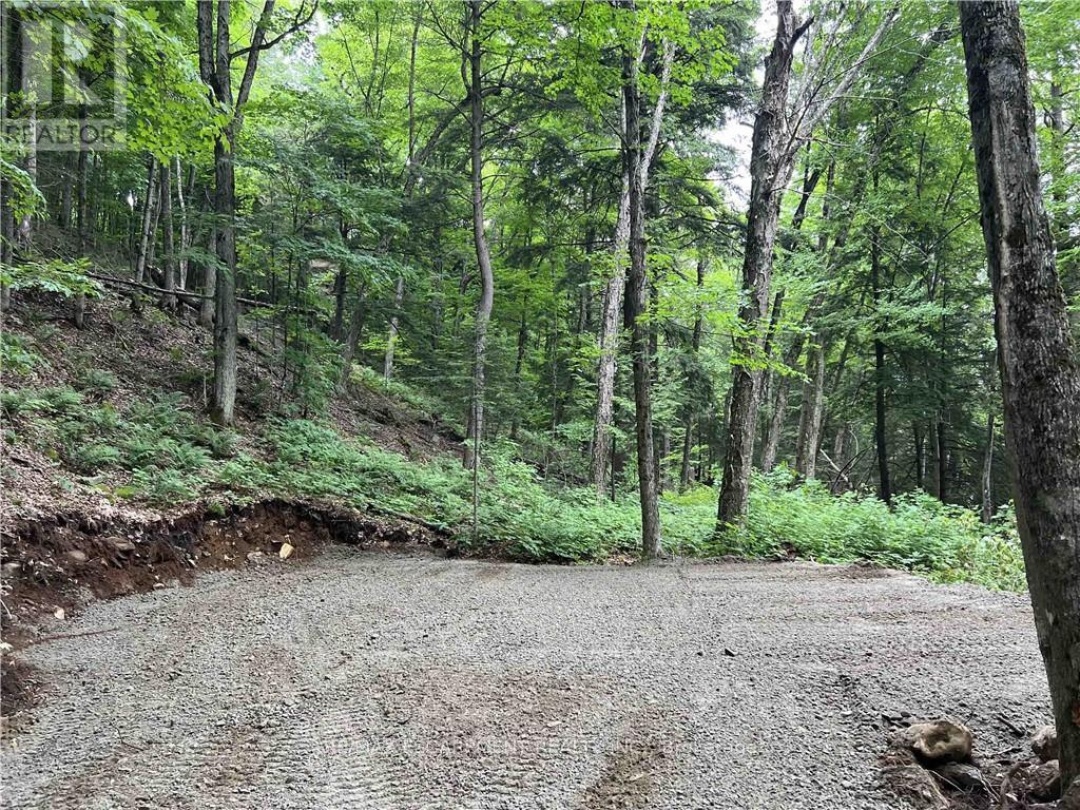 Lot 3 1079 Inawendawin Road, Paint Lake