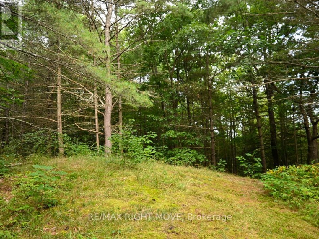 4544 BOWLES LANE, 