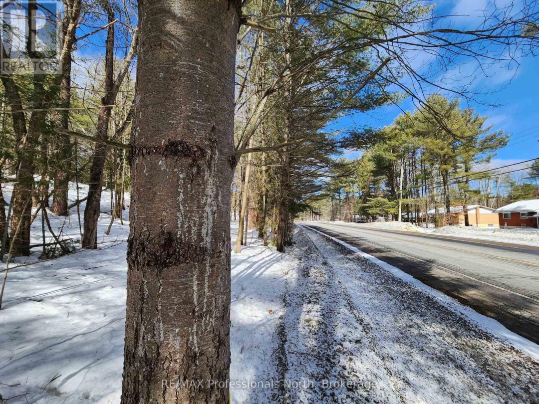 00 MANITOBA STREET, Bracebridge (Macaulay)