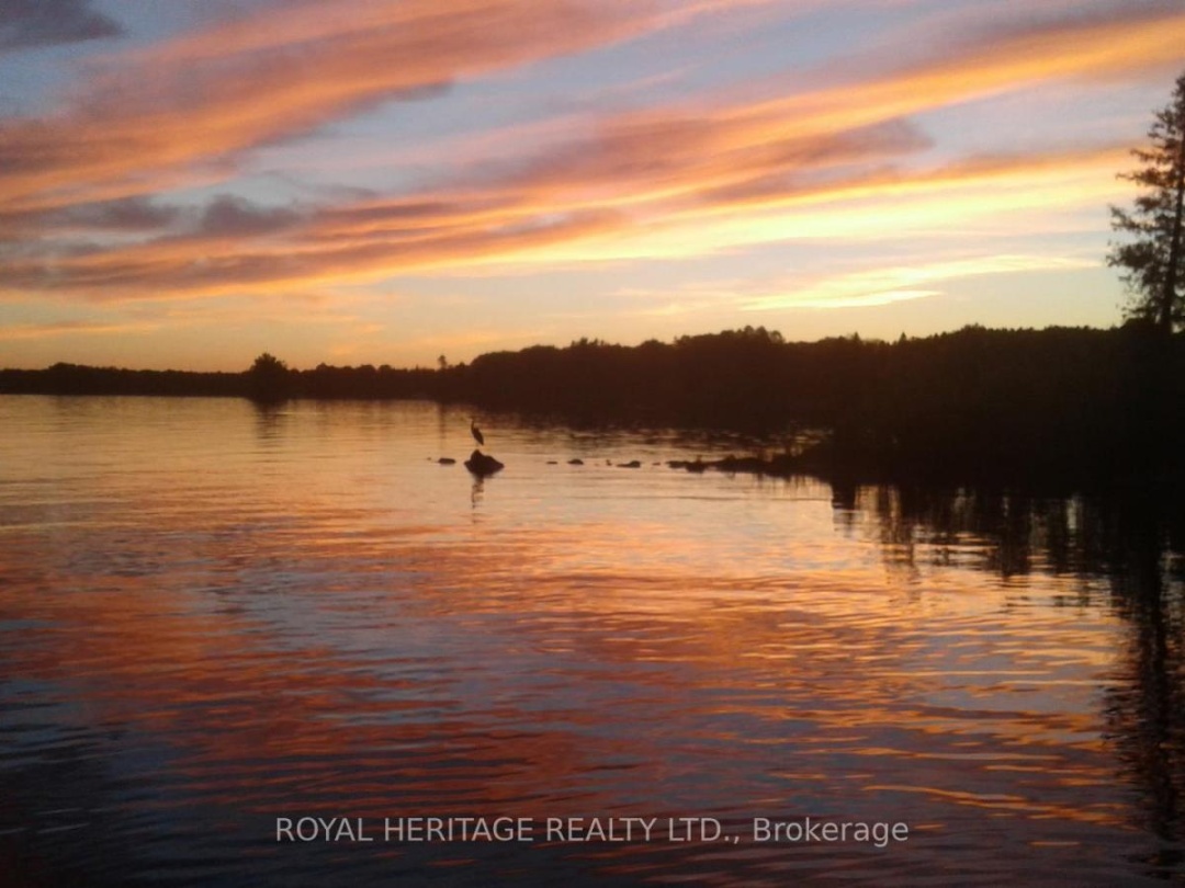 205 PIRATES GLEN DRIVE, Pigeon Lake