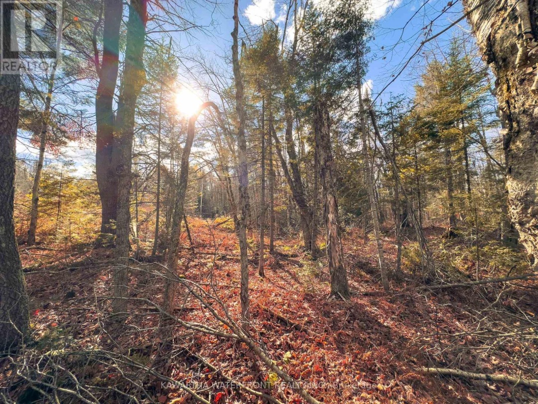 0 WEISMULLER LANE, Bracebridge (Draper)