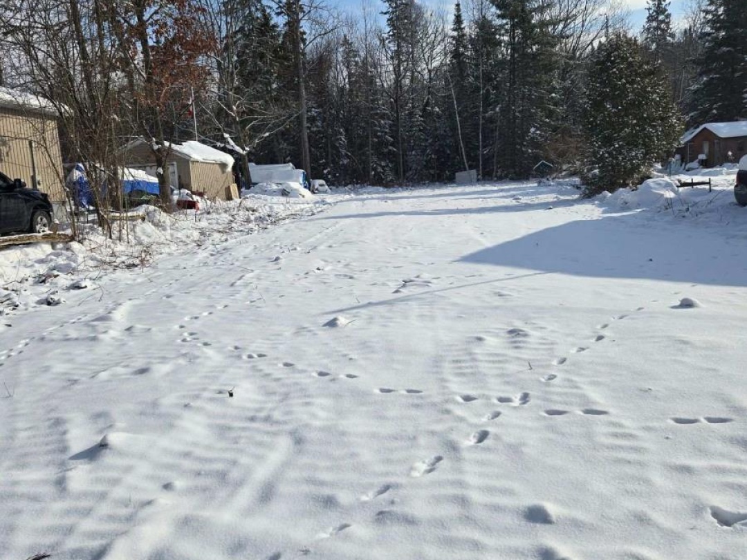 77 ANTIQUARY BEACH ROAD, 