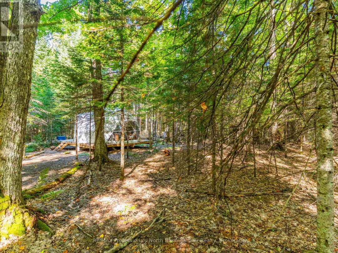 LOT 40 BASSHAUNT LAKE ROAD, 