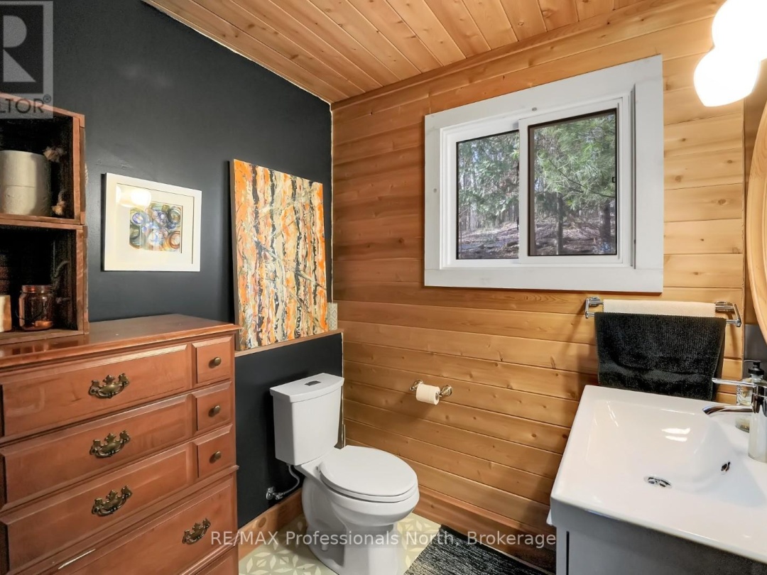 1107 PLUTO TRAIL, Boyne Lake