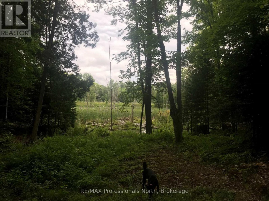1645 SOUTH LAKE ROAD, Minden Hills (Snowdon)