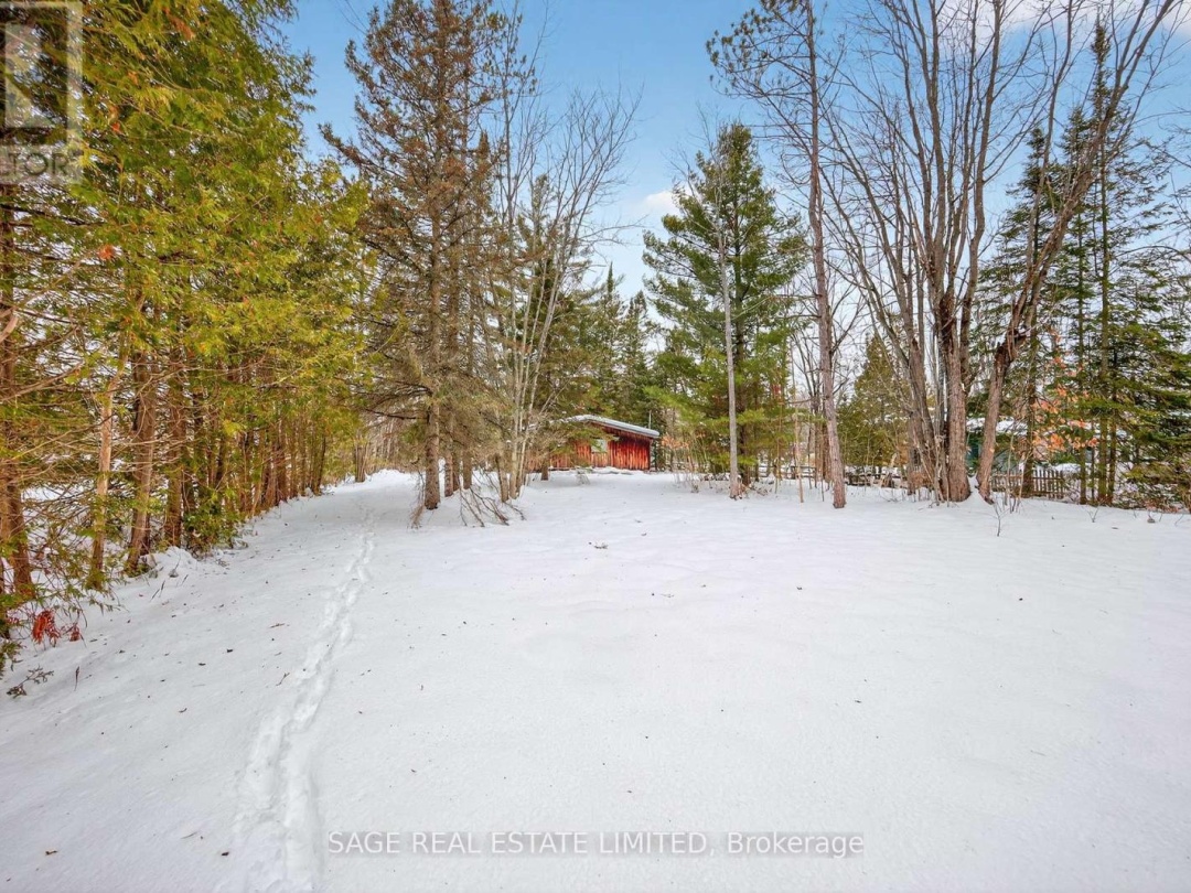 7856 BIRCH DRIVE, Black River