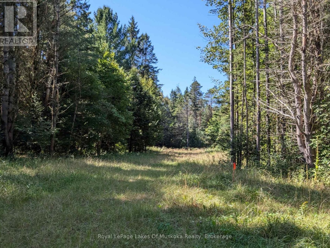 1059 ABLETT COURT, Algonquin Highlands (Stanhope)