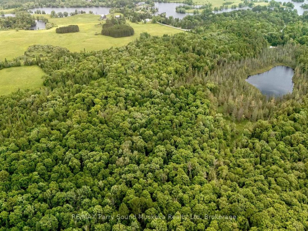 372 MCDOUGALL ROAD, 