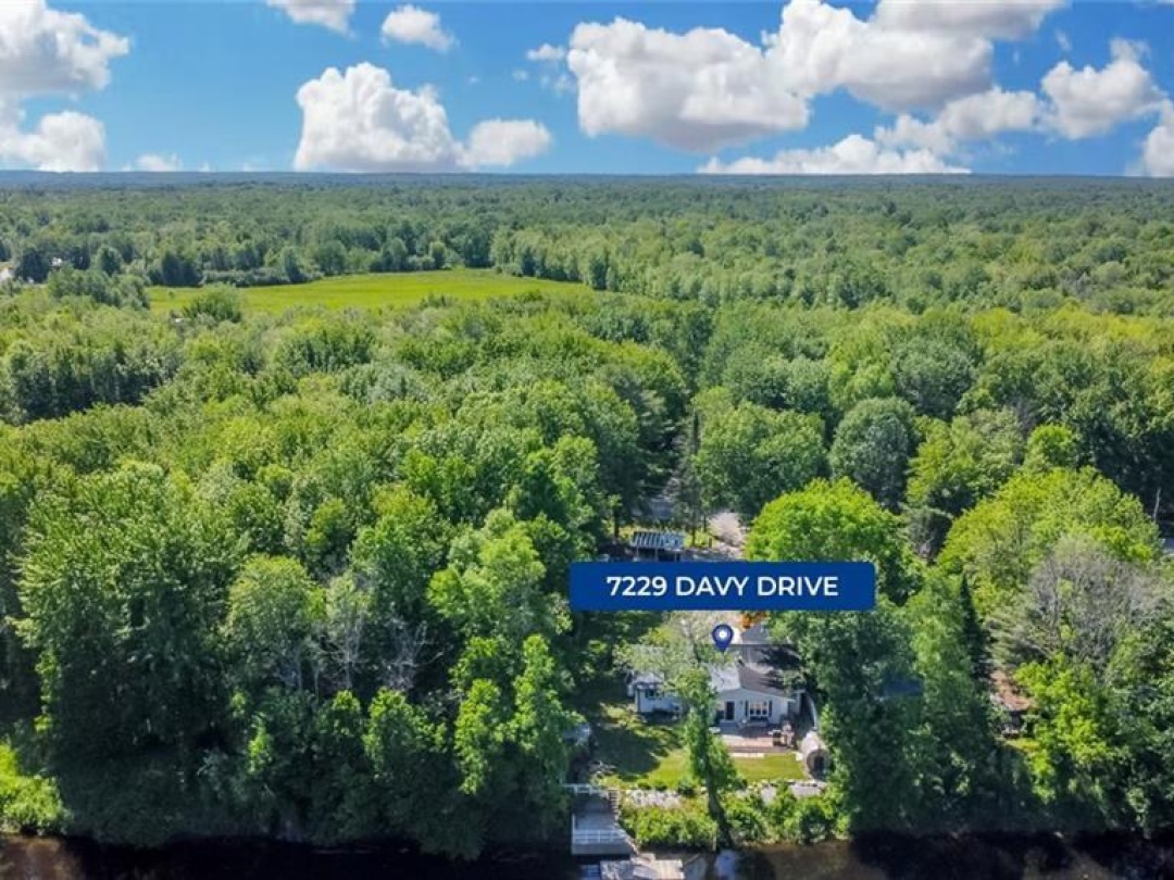 7229 Davy Drive, Black River