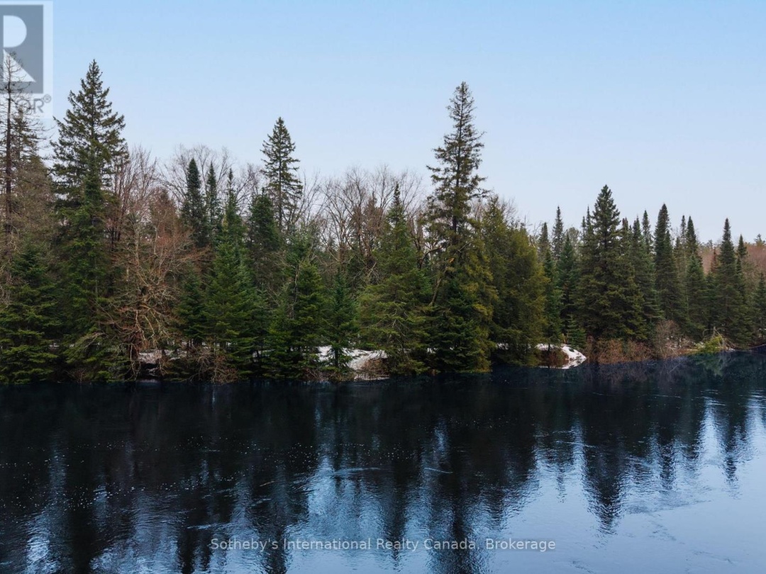 1000 ALPINE RANCH ROAD, North Branch Muskoka River