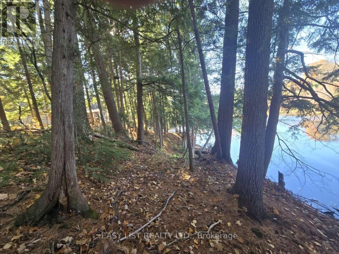 LOT 14 LAIDLAW AVENUE, Severn River