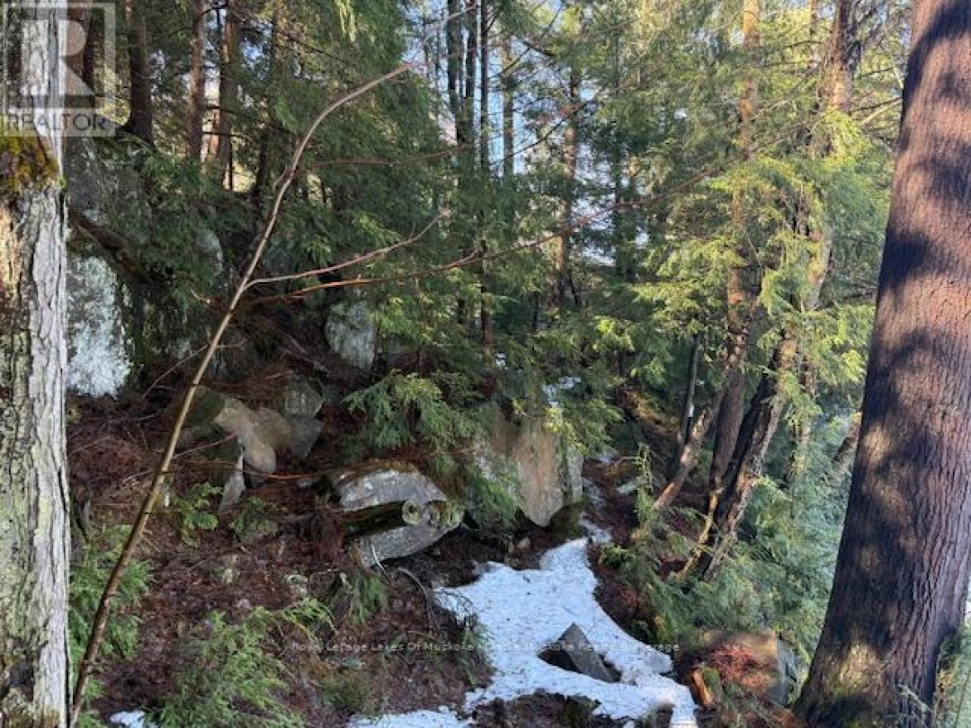 0 SOUTH CRANE LAKE ROAD, Crane Lake