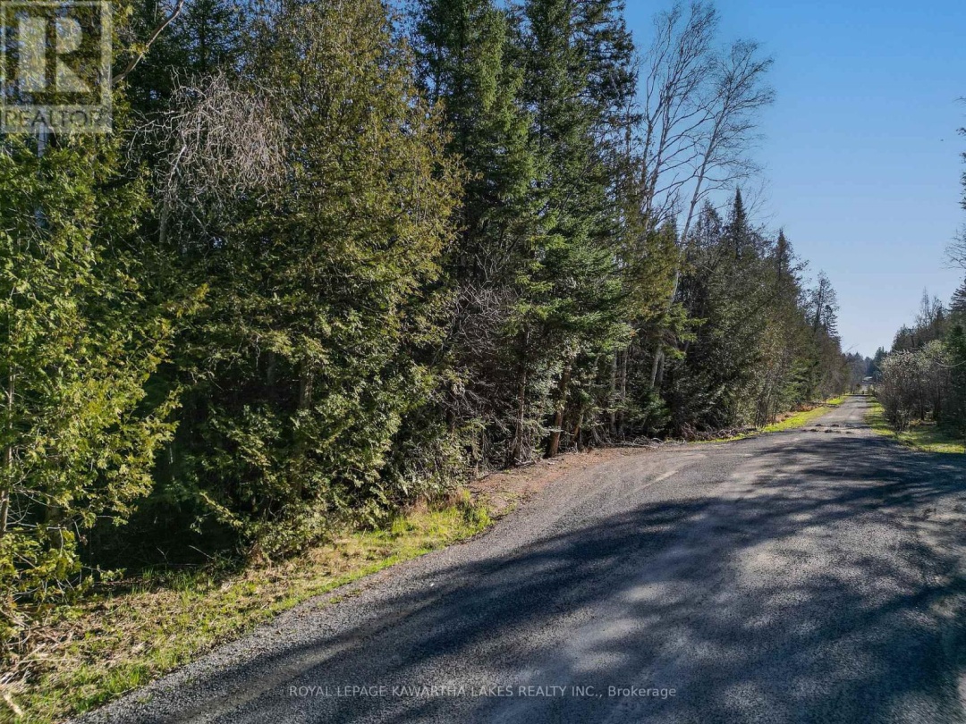 LT 4 DUTCH LINE ROAD W, Trent Lakes