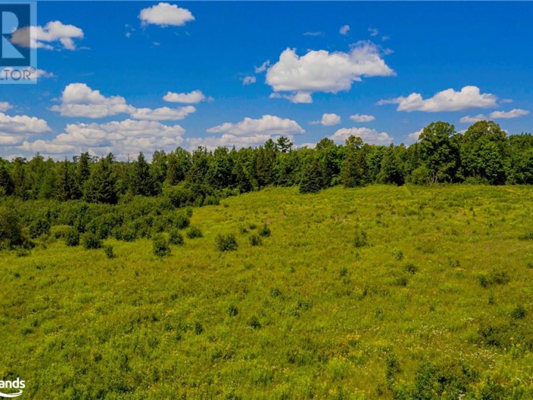 Lot 8 Nelson Lake Road, Magnetawan