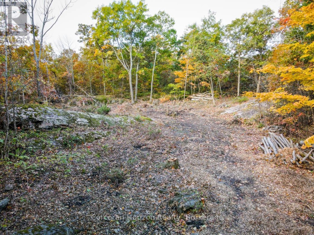 Lot A 87 Corrievale Rd, Georgian Bay (Baxter)