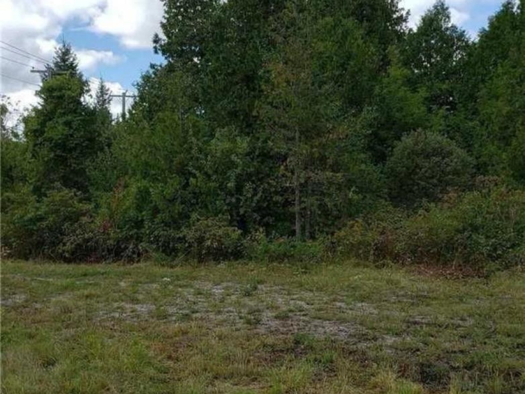 9 TALBOT RIVER ROAD, Kawartha Lakes (Carden)
