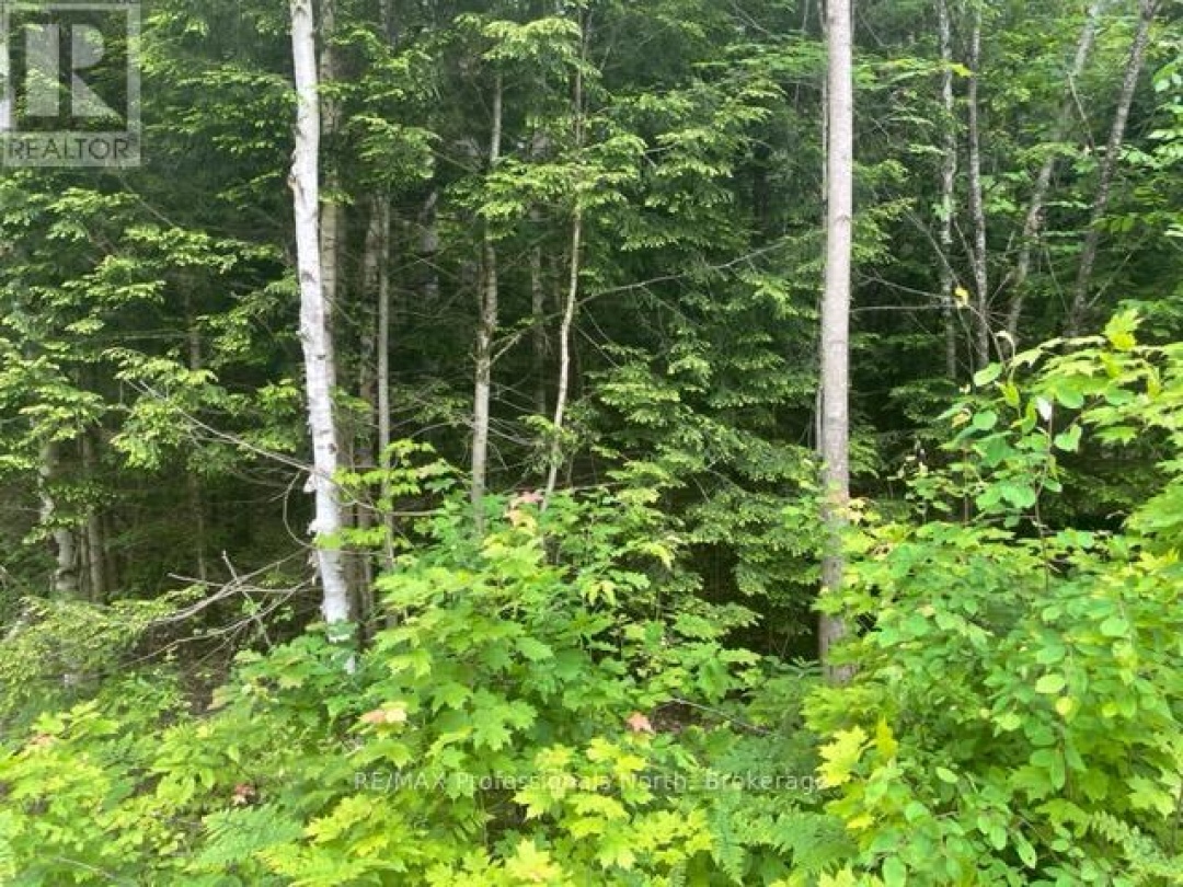 0 BIG HAWK LAKE ROAD, Algonquin Highlands (Stanhope)