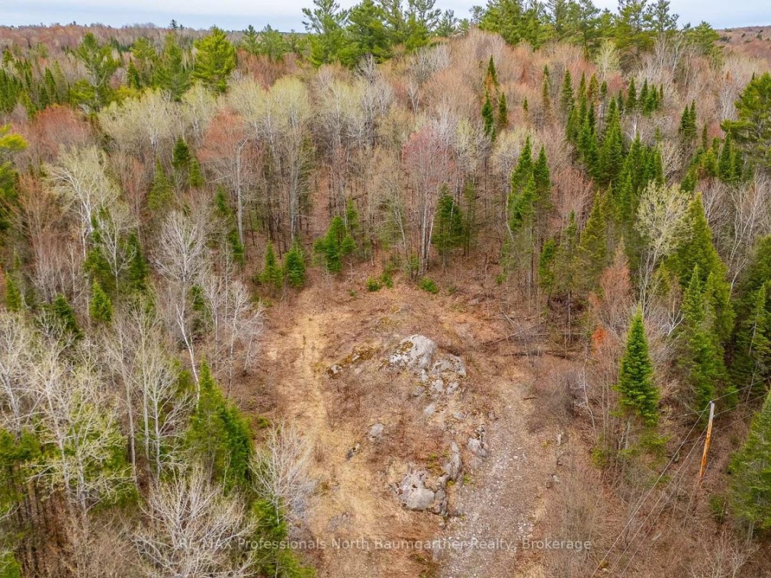 0 BRADY LAKE ROAD, Brady Lake