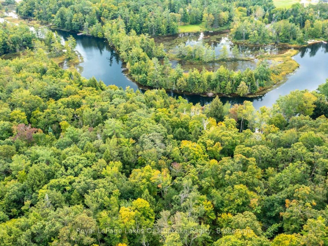 0 MUSKOKA RIVER, 