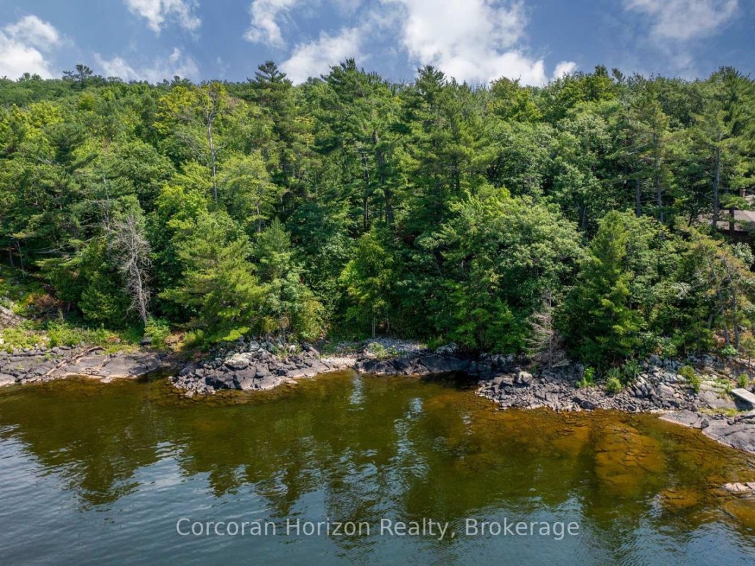 471 NORTH SHORE RD, Georgian Bay