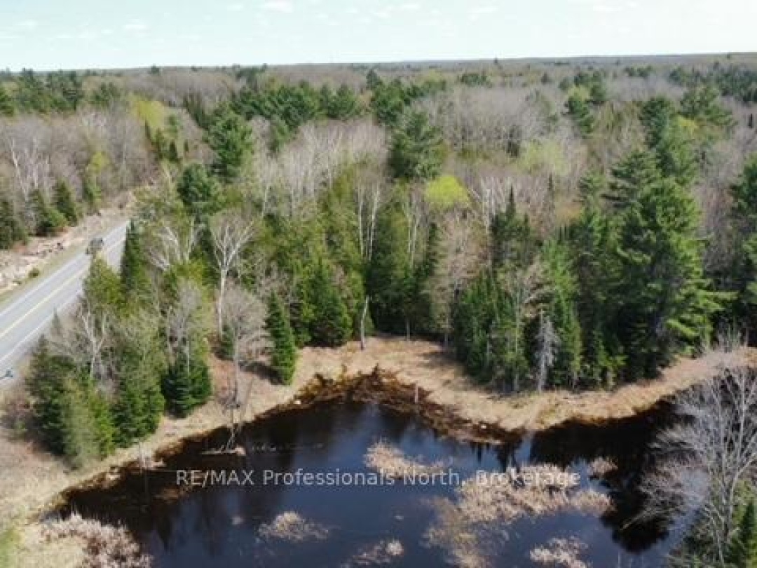 0 BOBCAYGEON ROAD, Minden Hills (Hindon)