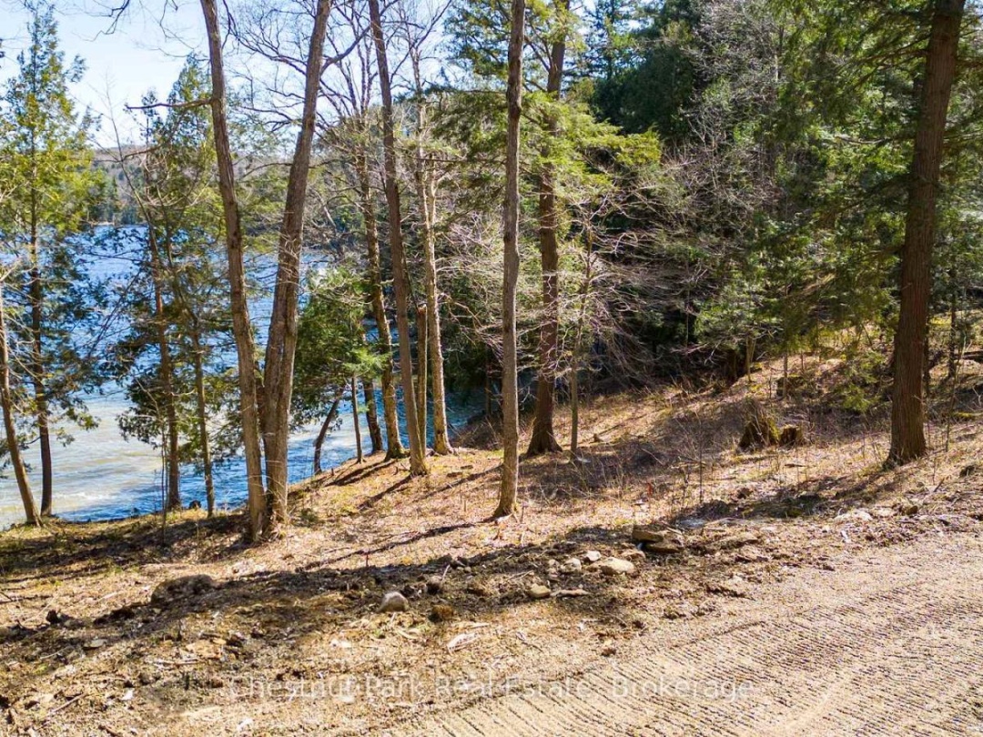 1091 OSBORNE POINT ROAD, 