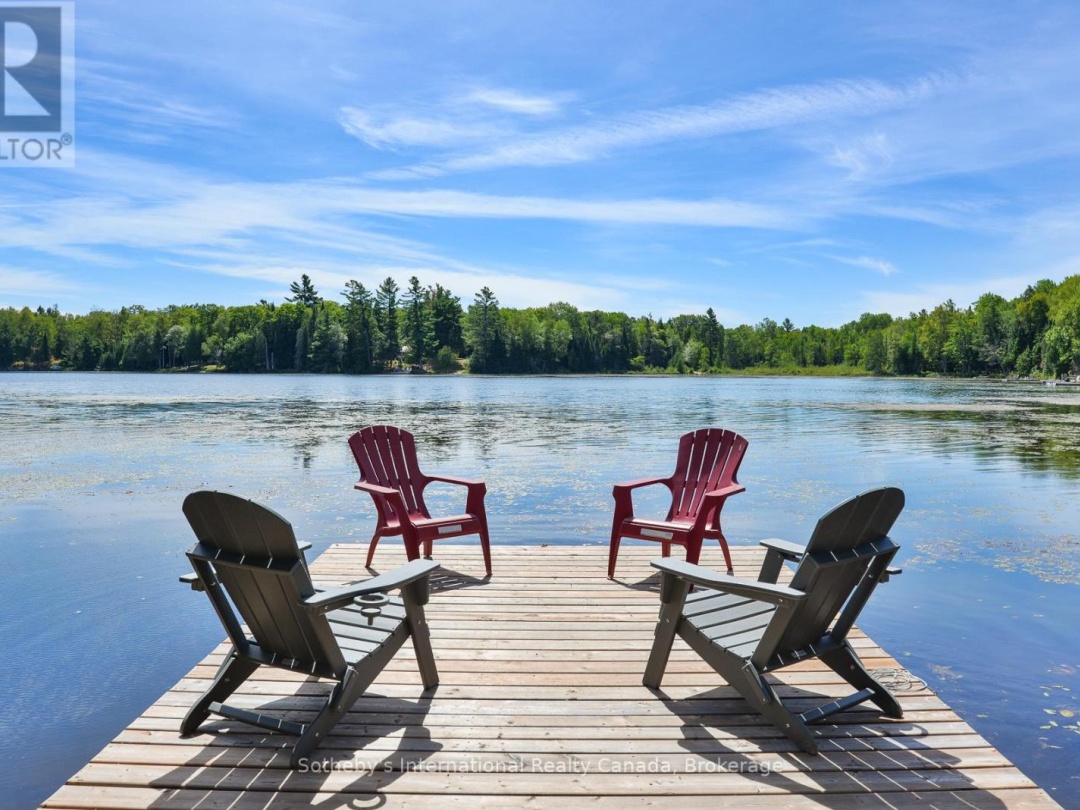 1211 PLUTO TRAIL, Boyne Lake