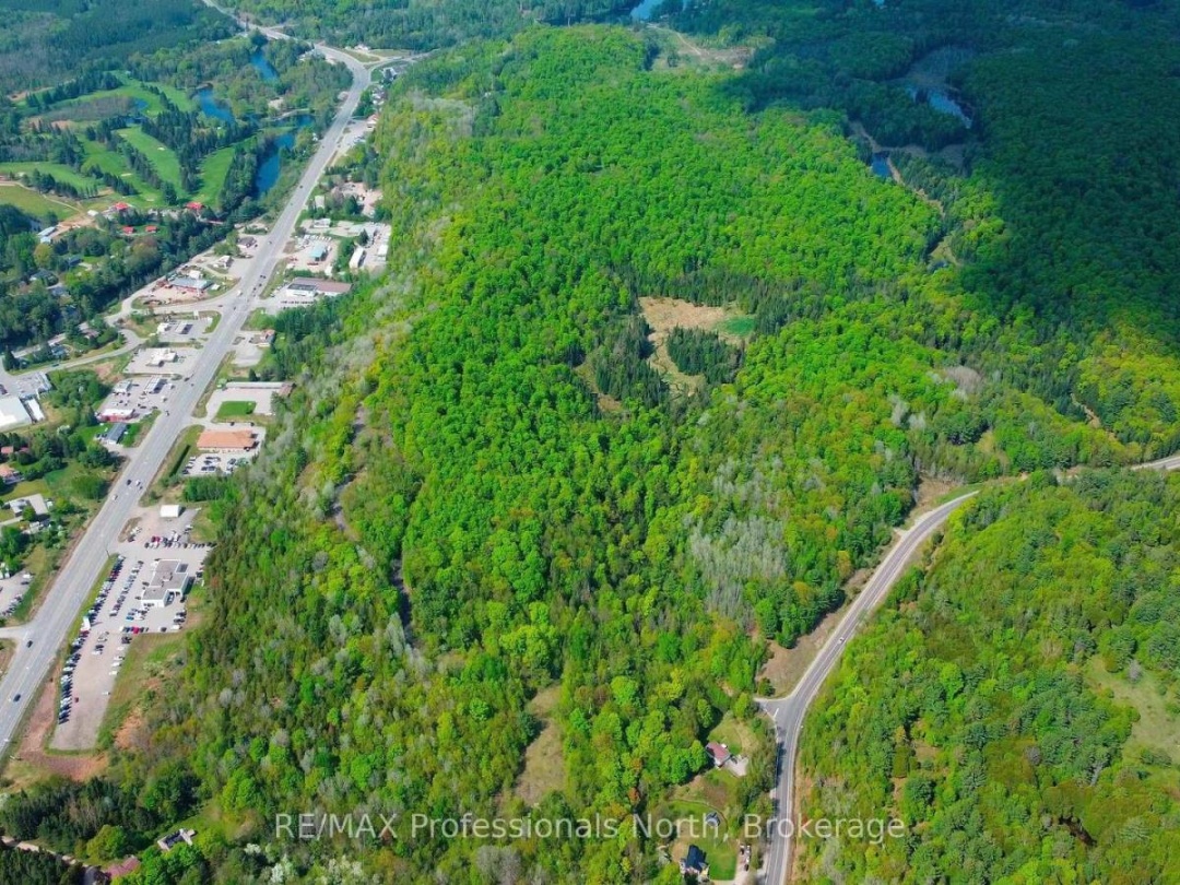 1062 County Road 21, Minden Hills (Minden)