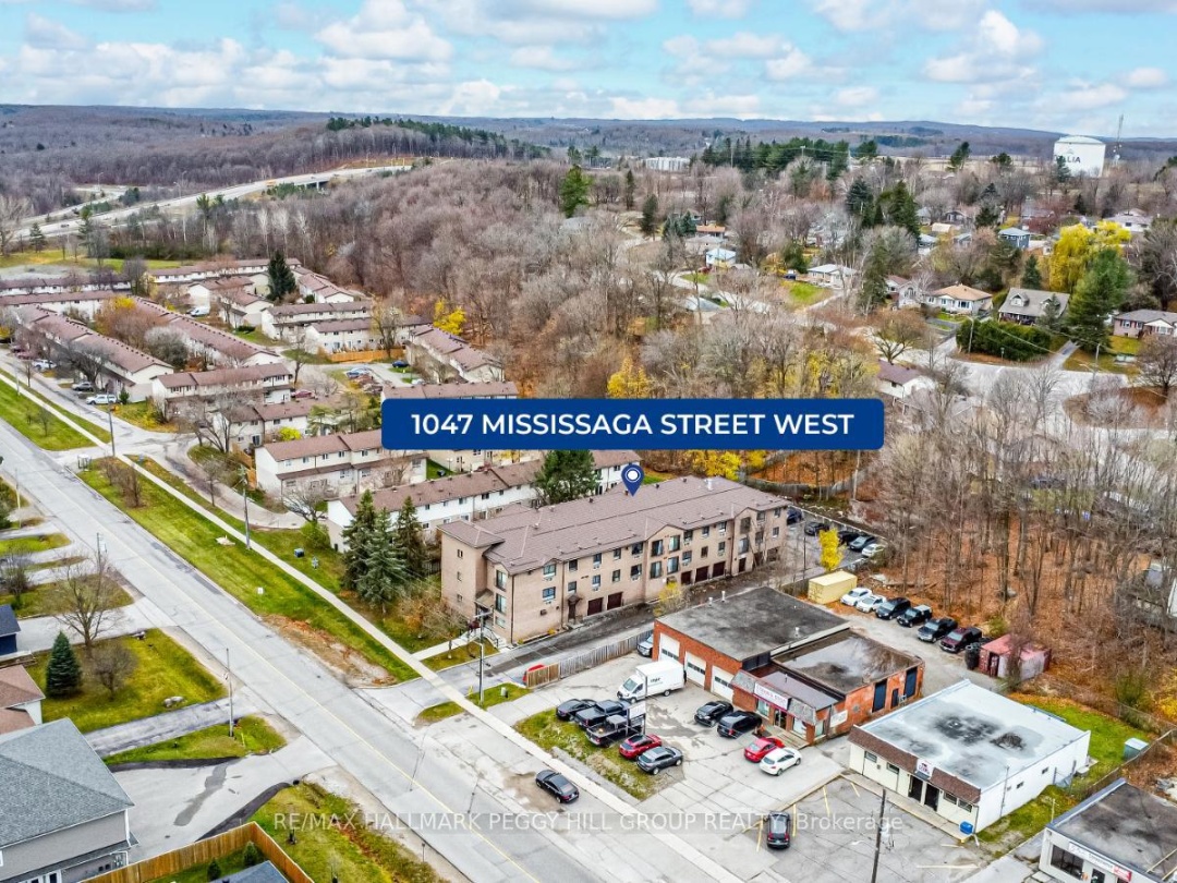 301 1047 Mississaga Street W, Orillia