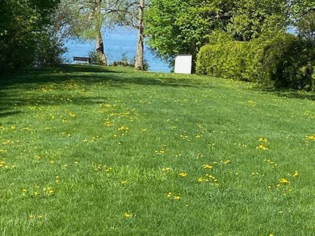 1805 LAKESHORE DRIVE, Ramara (Brechin)