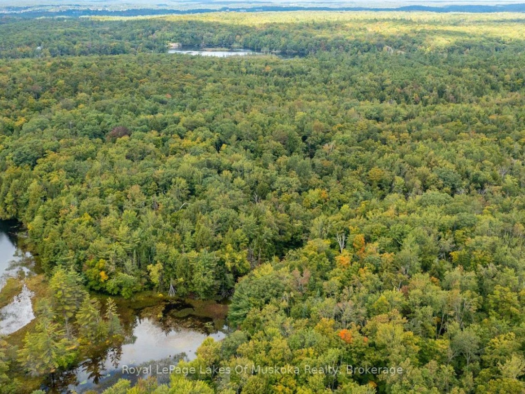 0 MUSKOKA RIVER, 