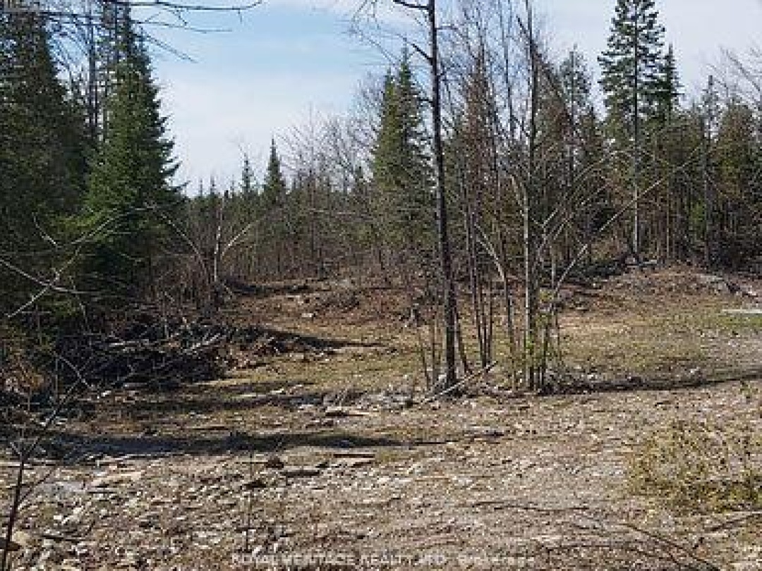 00 BASS LAKE ROAD N, 