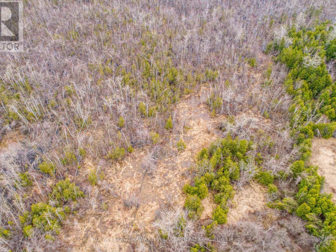 210 GRASSHILL ROAD, Kawartha Lakes (Woodville)