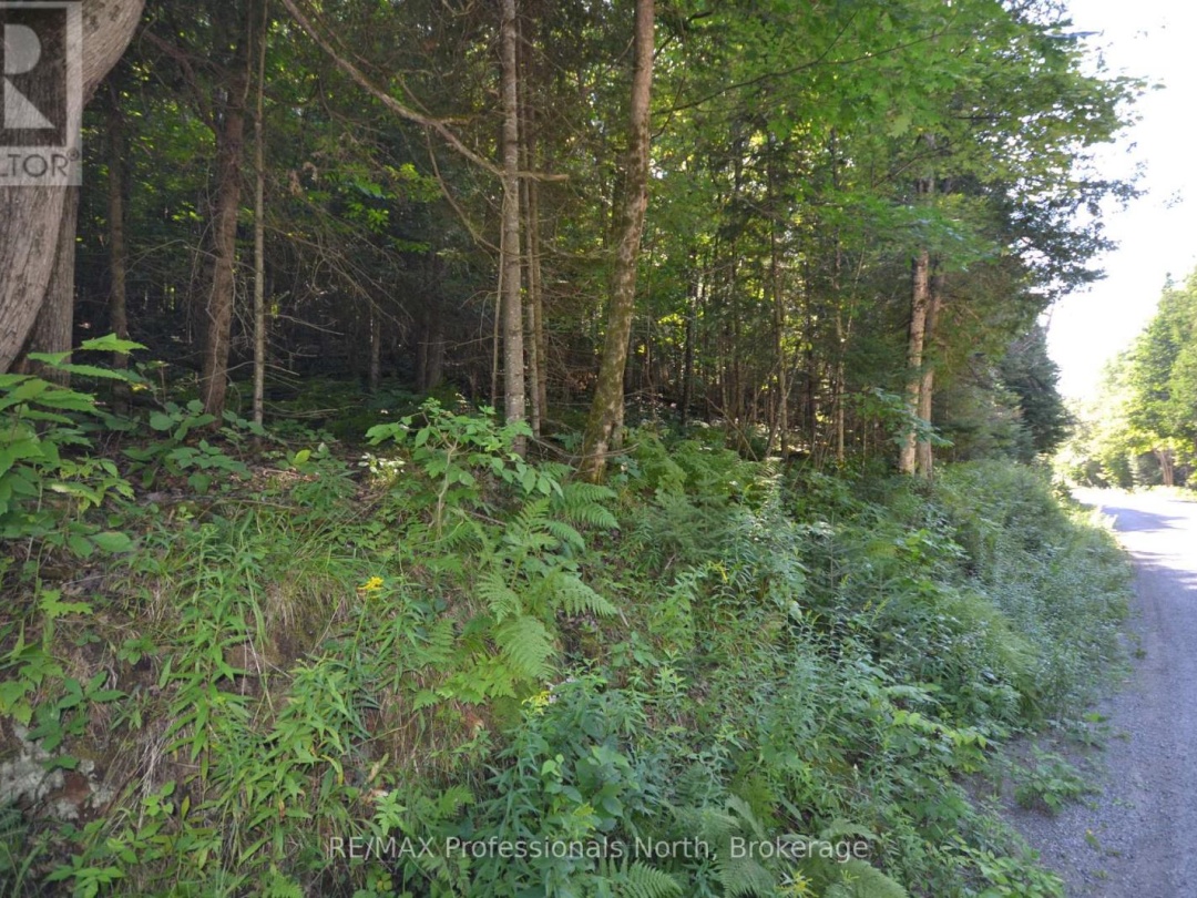 0 FRED JONES ROAD, Dysart et al (Dysart)