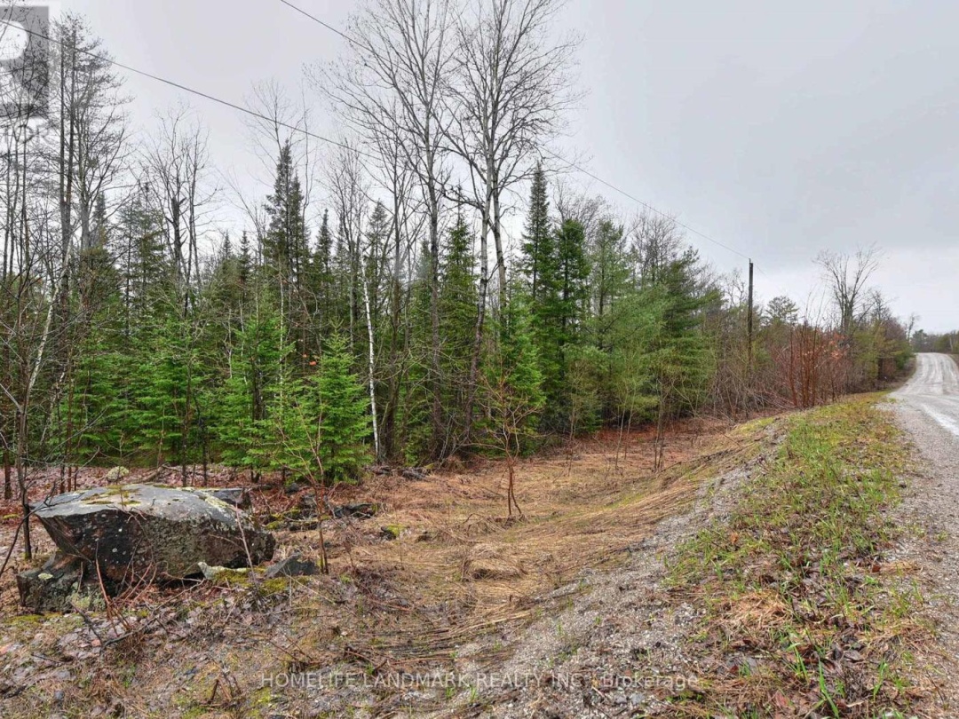 26-28 CHISHOLM TRAIL, Kawartha Lakes (Dalton)