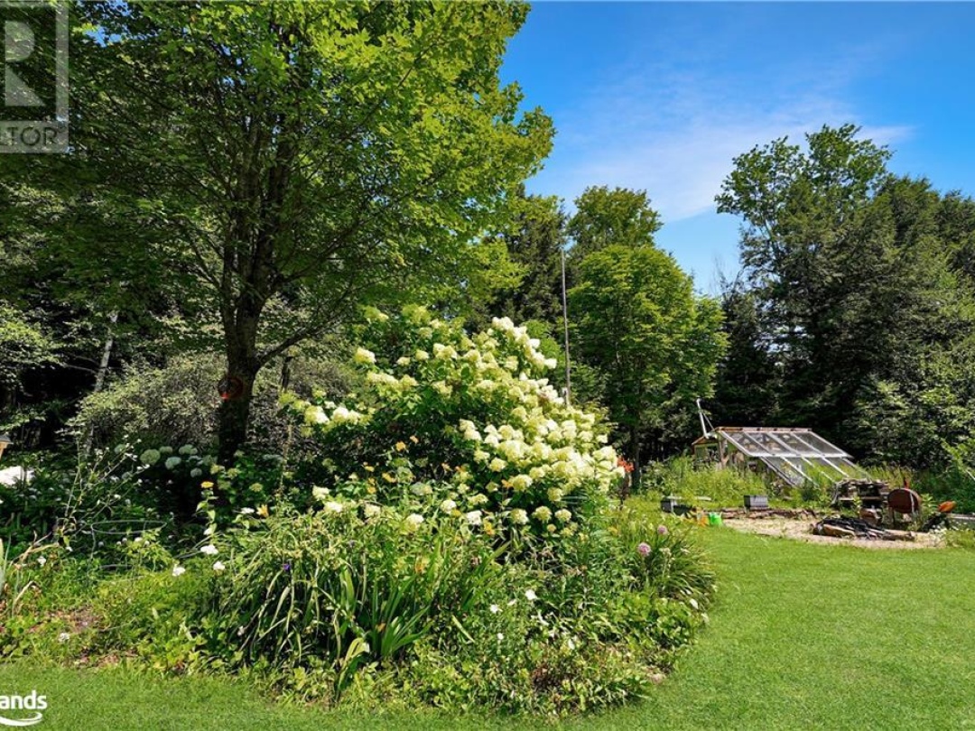 1842 Buckslide Road, Algonquin Highlands